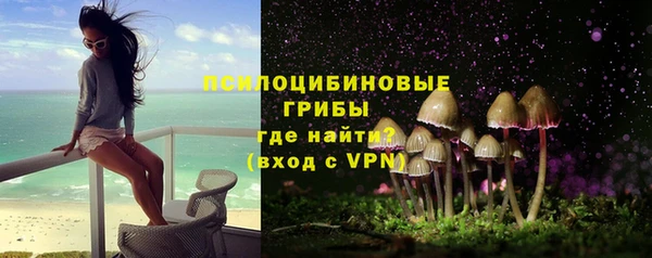 гашик Надым