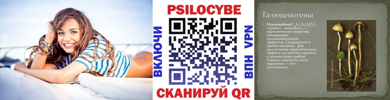 Псилоцибиновые грибы GOLDEN TEACHER  Петровск-Забайкальский 