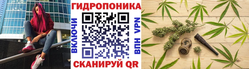 Бошки марихуана Bruce Banner  Петровск-Забайкальский 